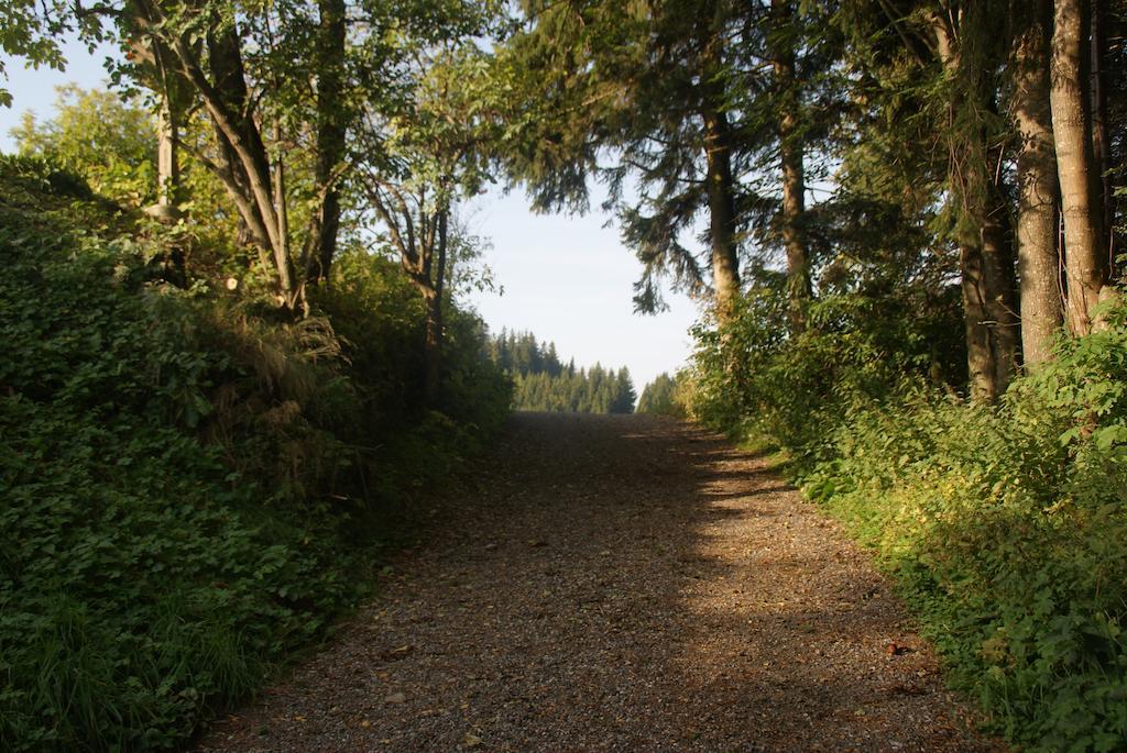 Gasthof Unterberger Sankt Kathrein am Offenegg Zewnętrze zdjęcie
